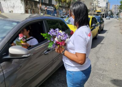 Oferta de flores (2)